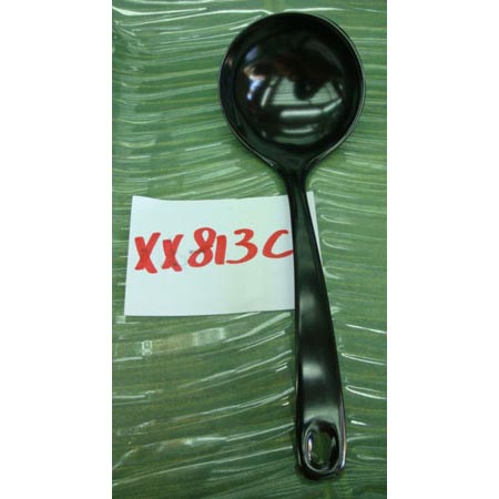 XX813